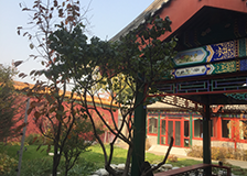 文章附图